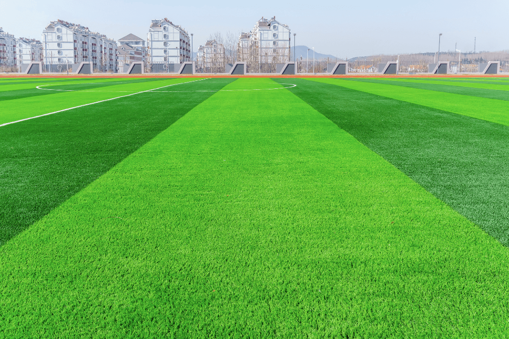 Sports Fields (1)